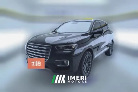 2019 Haval H6 2020 1.5T AT PlatinumChampion