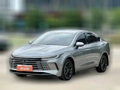 2024 BYD Destroyer 05 2023 Champion 1.5L AT DM-i 120KM Premium #1