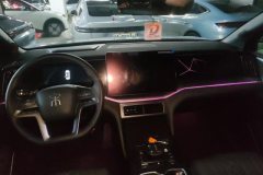 2025 BYD Song L DM-i 2025 Smart Drive 112km Surpass #12
