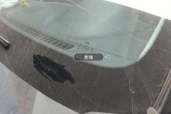 Windshield