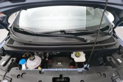 2024 BYD Dolphin 2025 420km vitalityEdition #7
