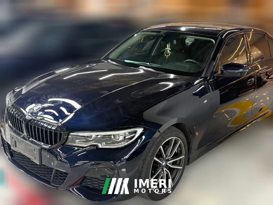 2020 BMW 3 Series 2020 2.0T AT 320Li MSport Pkg