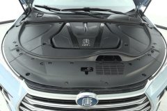 2023 BYD Tang PHEV 2023 1.5T AT DM-i Champion 112KM Honor #10