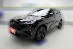 2023 Haval H6 2021 2.0T AT No.3generation2WDMax #1