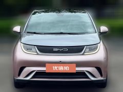 2022 BYD Dolphin 2021 405km Fashion #2