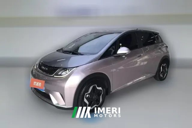 2022 BYD Dolphin 2021 405km Fashion