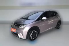 2022 BYD Dolphin 2021 405km Fashion #1