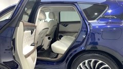 2022 Voyah Free 2021 4WDStandardEREVExclusiveLuxury Pkg #8
