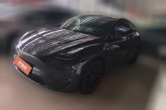 2021 Tesla Model Y 2021Long Rangeall wheel driveEdition 3D7 #1