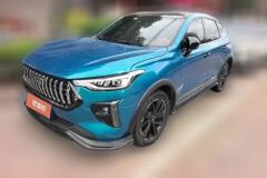 2021 Haval Chitu 2021 1.5T AT ProvokingEdition Platinumrabbit #1