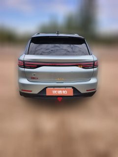 2022 Leapmotor C11 2021 Exclusive #2