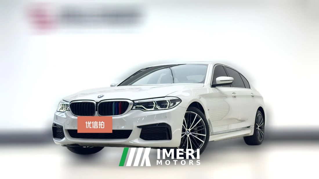 2020 BMW 5 Series 2020 2.0T AT 530LiLeadingMSport Pkg