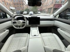 2024 Zeekr 7X 2025 75kWh RWDSmart Drive #8