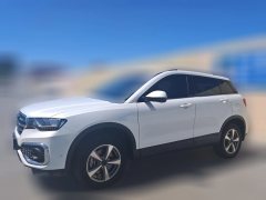 2018 Haval H6 Coupe 2018 1.5T AT Blue LabelLuxury FWD #1