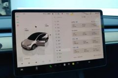 2022 Tesla Model Y 2022 rear wheel driveEdition #14