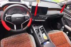 2021 Haval Chitu 2021 1.5T AT ProvokingEdition Platinumrabbit #12