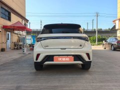 2024 BYD Dolphin 2023 420km freeEdition #5