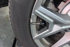მარცხენა უკანა დისკი