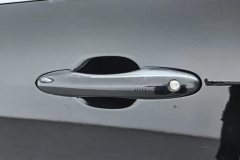 2021 Haval H6 2021 1.5T AT China tideChampion #8