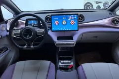2022 BYD Dolphin 2021 405km Fashion #12