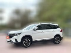 2019 Dongfeng Fengxing Fengxing T5 2018 1.6T AT 300TSmart #1