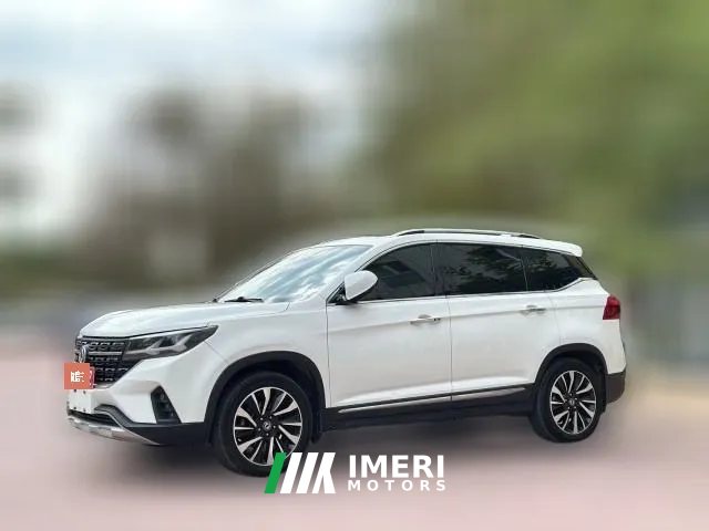 2019 Dongfeng Fengxing Fengxing T5 2018 1.6T AT 300TSmart
