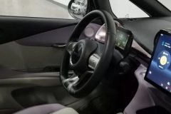 2022 BYD Dolphin 2021 401km knightEdition #23