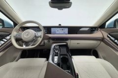 2022 Voyah Free 2021 4WDStandardEREVExclusiveLuxury Pkg #14