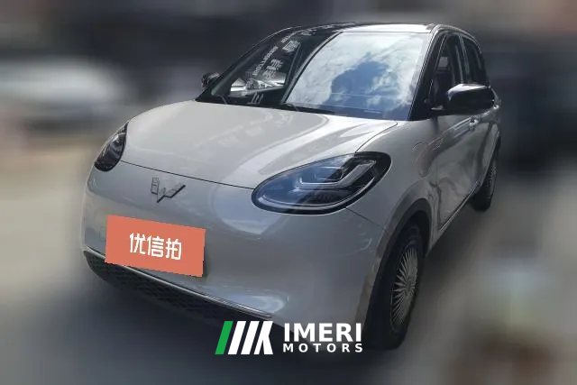 2023 Wuling Motors Wuling Bingo 2023 410kmLingxiExclusive