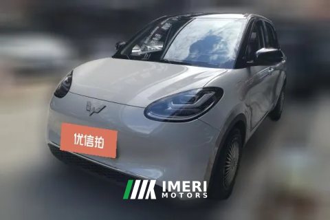 2023 Wuling Motors Wuling Bingo 2023 410kmLingxiExclusive