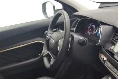 2021 Haval H6 2021 1.5T AT ChampionGDI #23