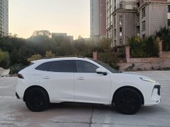 2022 Dongfeng Fengxing Fengxing T5 Evo 2021 1.5T AT DCTdiamondEdition #7