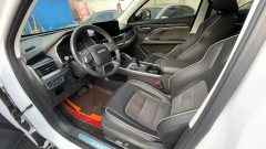 2021 Haval H6 2021 1.5T AT China tideChampion #4