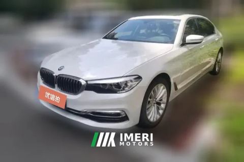 2019 BMW 5 Series 2019 2.0T AT 525LiLuxury Pkg