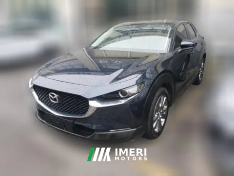 2021 Mazda CX-30 2021 2.0L AT Yayue