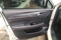 2022 GAC Trumpchi Trumpchi GS4 Plus 2021 1.5T AT 270T starsEdition #7