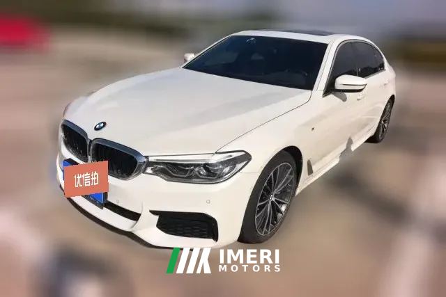 2020 BMW 5 Series 2020 2.0T AT 530LiExclusiveMSport Pkg