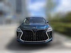2022 Dongfeng Fengxing Fengxing Youting 2022 1.5T AT DCTChase the wavesEdition #2