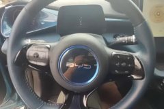 2022 BYD Dolphin 2021 401km knightEdition #15