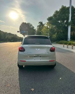 2023 Wuling Motors Wuling Bingo 2023 333KM Enjoy #8