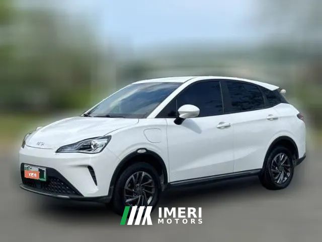 2023 Neta AYA 2023 318 Lite