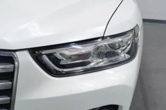 2020 Haval H6 2021 1.5T AT Champion #5
