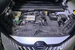 2022 GAC Trumpchi Trumpchi Yingku 2022 1.5T AT SuperNewstarProEdition #10