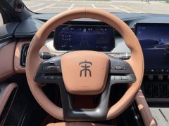 2025 BYD Song L EV 2025 550km excellence #8