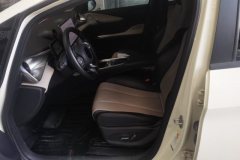 2023 BYD Dolphin 2023 420km Fashion #9