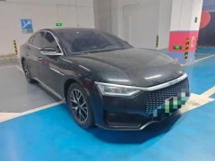 2023 BYD E9 2022 Business #8
