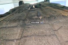 Engine Under Cover