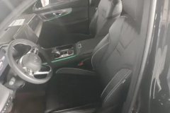 2024 GAC Trumpchi Trumpchi GS8 2025 PilotSeries 2.0TGDI AT 2WDLuxury 5Seat #9