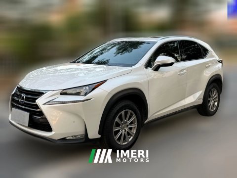 2016 Lexus NX 2015 2.5 AT 300hFeng ShangEditionFWD HEV (Imported)