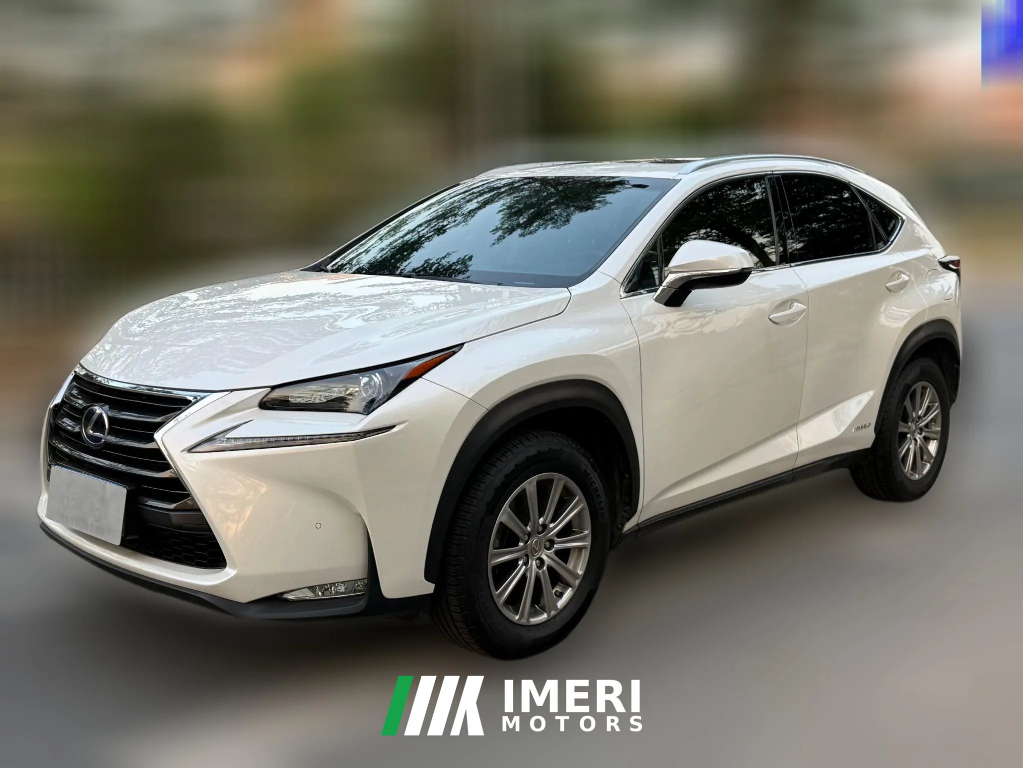 2016 Lexus NX 2015 2.5 AT 300hFeng ShangEditionFWD HEV (Imported)